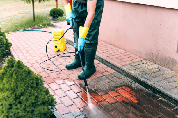 Best Pressure Washing Siding  in South Pasadena, CA
