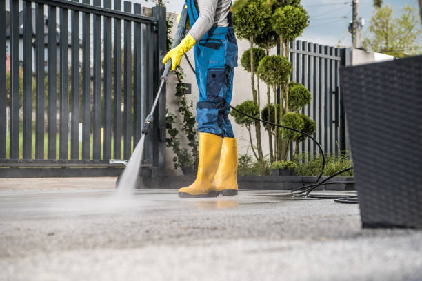 Best Pressure Washing Patio  in South Pasadena, CA