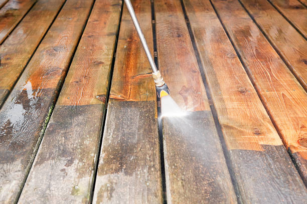 Best Roof Pressure Washing  in South Pasadena, CA