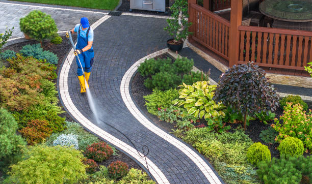 Best Power Washing Near Me  in South Pasadena, CA